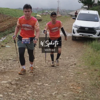Runner Photo 667746