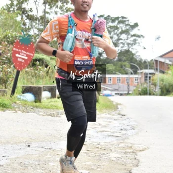 Runner Photo 667828