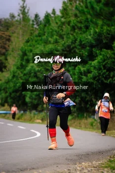 Runner Photo 668782