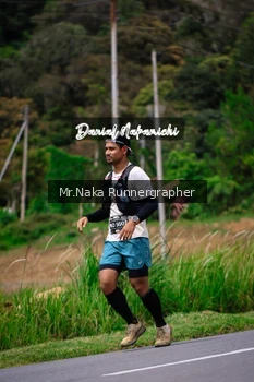 Runner Photo 668975