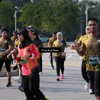 Runner Photo 6798499