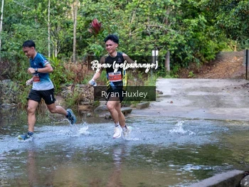 Runner Photo 682912