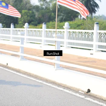 Runner Photo 6922678