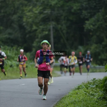 Runner Photo 69312