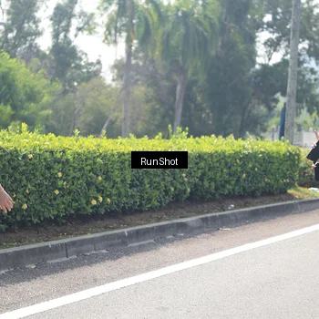 Runner Photo 6941078
