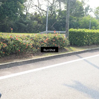 Runner Photo 6941699