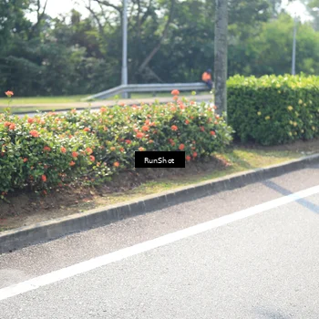 Runner Photo 6941746