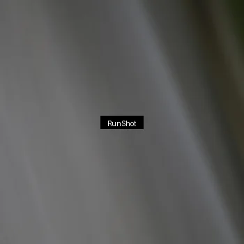 Runner Photo 6950781