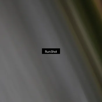 Runner Photo 6950805