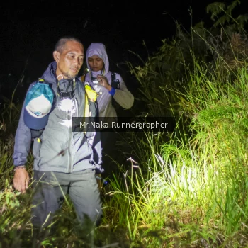 Runner Photo 69563