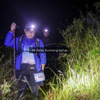 Runner Photo 69671