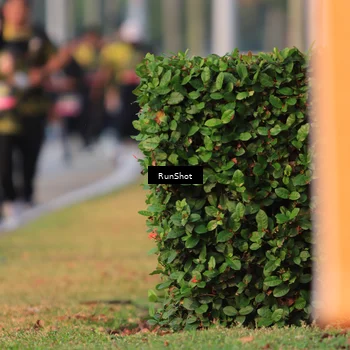Runner Photo 6993319