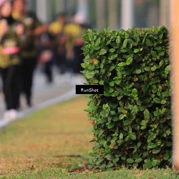 Runner Photo 6993334