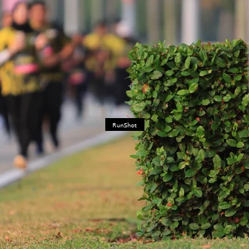 Runner Photo 6993344