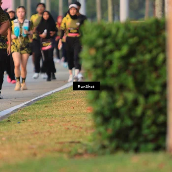 Runner Photo 6993352