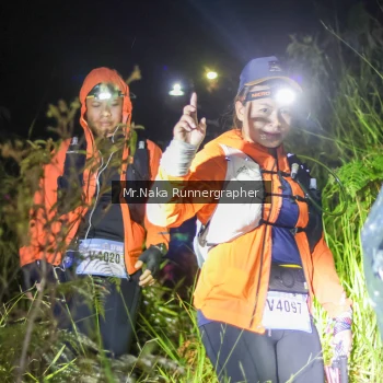 Runner Photo 69946
