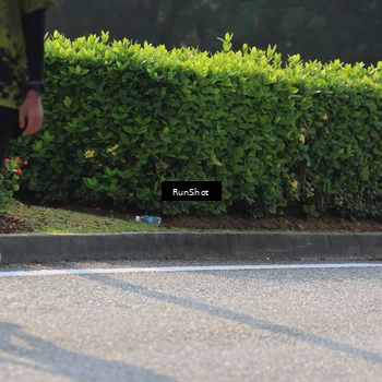 Runner Photo 7001448