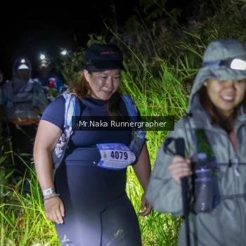 Runner Photo 70021