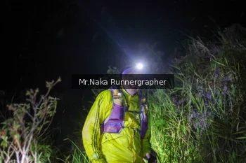 Runner Photo 70079