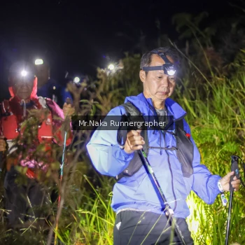 Runner Photo 70393