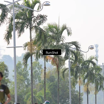 Runner Photo 7054261