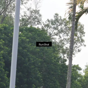 Runner Photo 7054344