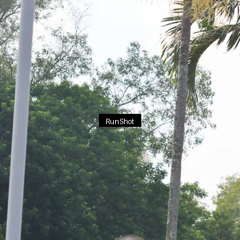 Runner Photo 7054352