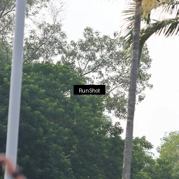 Runner Photo 7054364