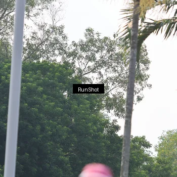 Runner Photo 7054369