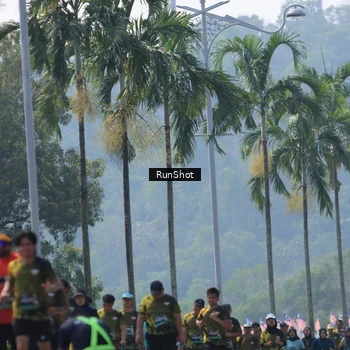 Runner Photo 7055486