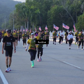 Runner Photo 7111999