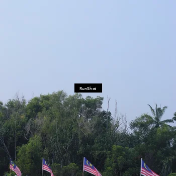 Runner Photo 7126865