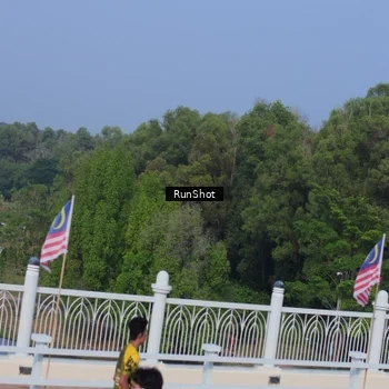 Runner Photo 7133562