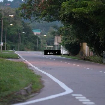 Runner Photo 7146541