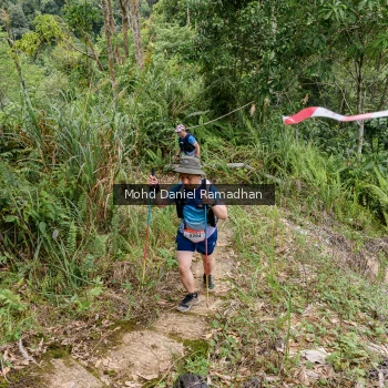 Runner Photo 72263