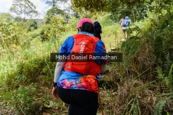 Runner Photo 72274