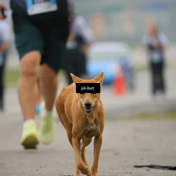 Runner Photo 7231072