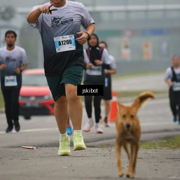 Runner Photo 7231076
