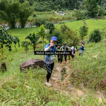 Runner Photo 72369