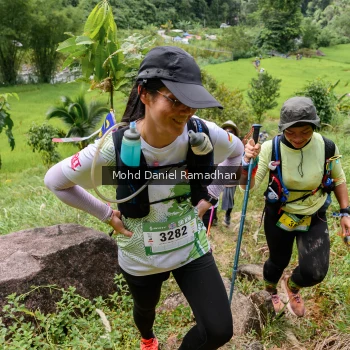 Runner Photo 72385