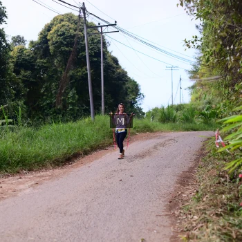 Runner Photo 72445