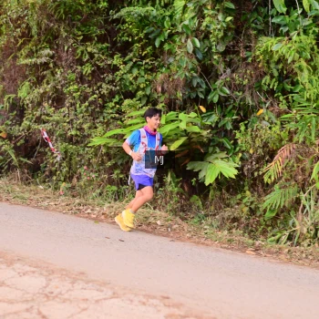 Runner Photo 72493