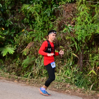 Runner Photo 72536