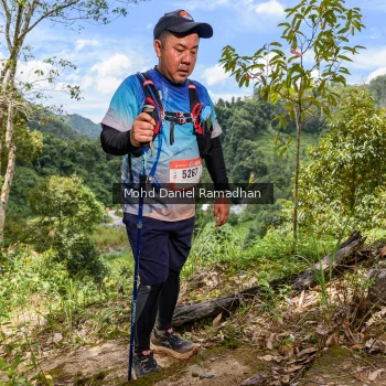 Runner Photo 72547