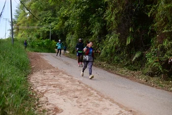 Runner Photo 72550