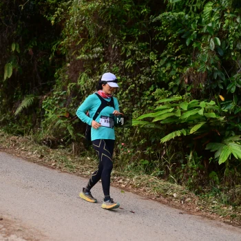 Runner Photo 72613