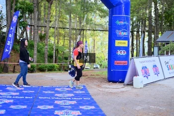 Runner Photo 72840