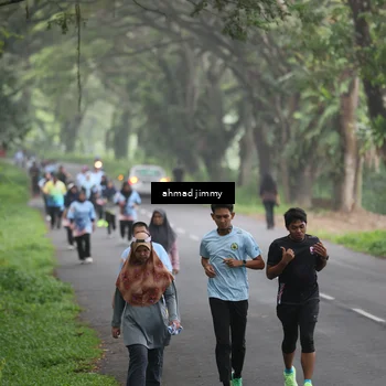 Runner Photo 7284467