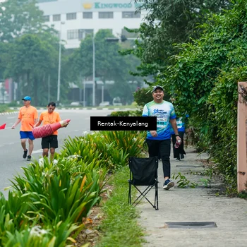 Runner Photo 7284630