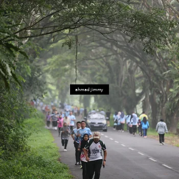 Runner Photo 7287840